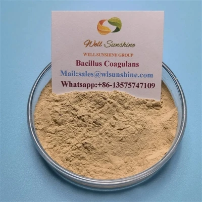 Apa itu Bacillus Coagulans?