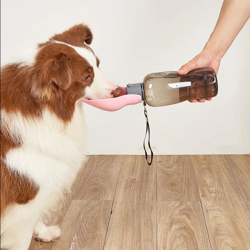 Botol air anjing protein